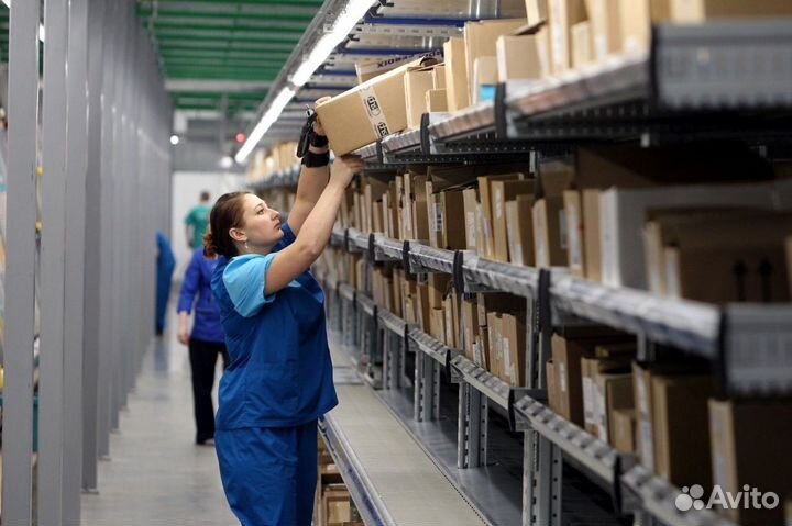 Грузчики в ночь. Расчет каждый день