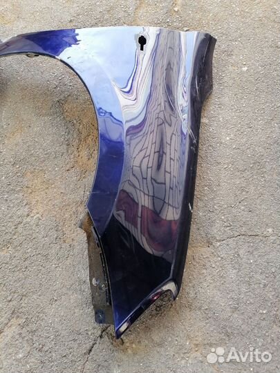 Крылья передние гранта