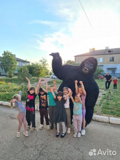 Горилла на праздник аниматоры Красногвардейское