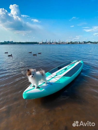 Sup board аренда на час и на сутки