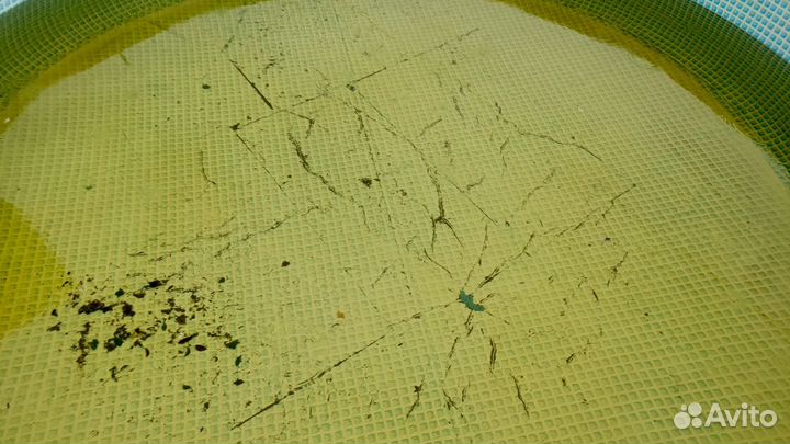 Бассейн для купания