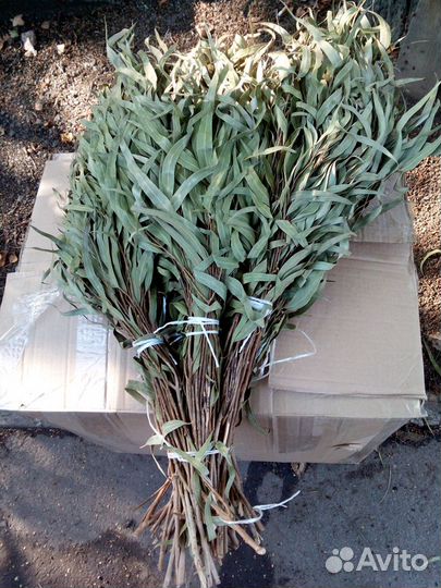 Травы для бани и сауны