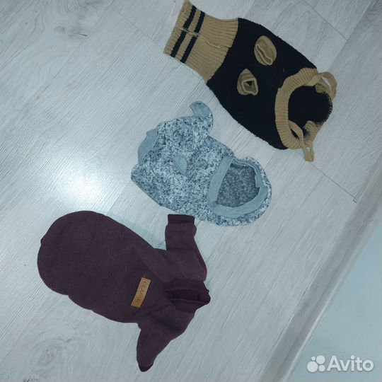 Одежда для маленьких собак