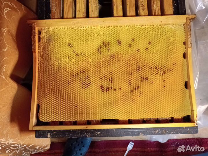 Сушь дадан для пчёл