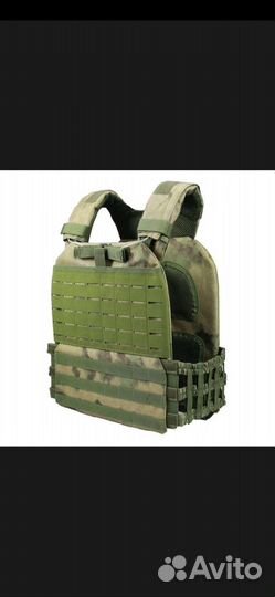 Плотник расцветки мох