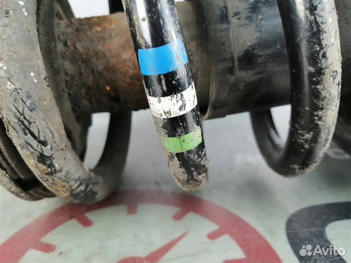 Передняя стойка в сборе Audi A4 B6/8E (2001-2004