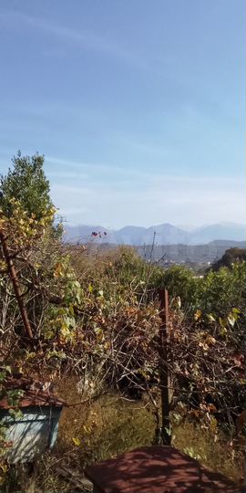 Участок 7,3 сот. (СНТ, ДНП)