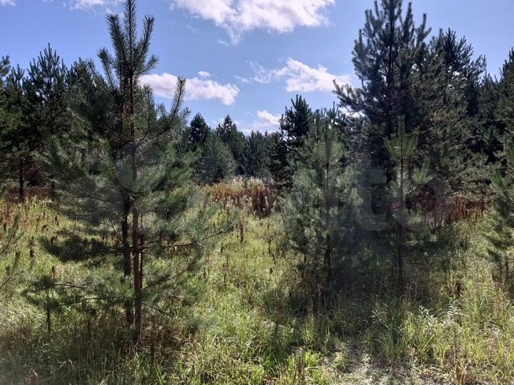 Участок 4,08 га (СНТ, ДНП)