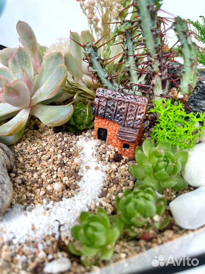 Флорариумы с суккулентами