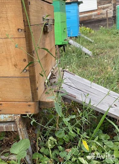 Продается мед