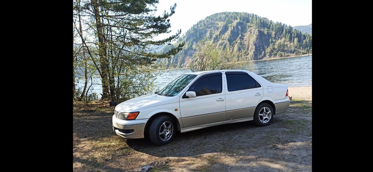 Toyota Vista: фото владельца