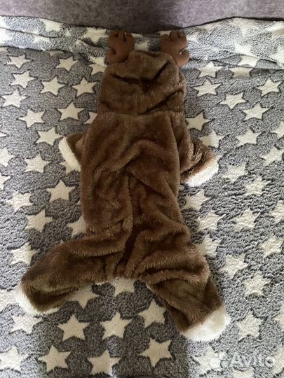 Костюм для собаки