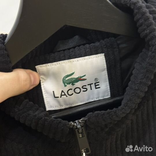 Вельветовая ветровка Lacoste