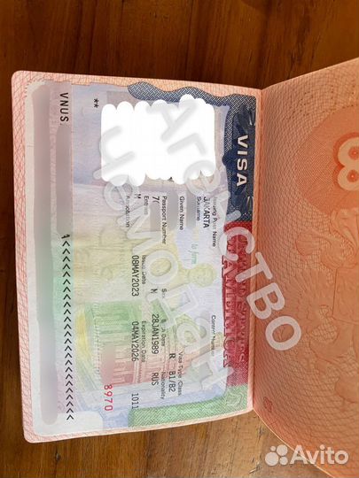 Виза в США (Бот входит в стоимость)