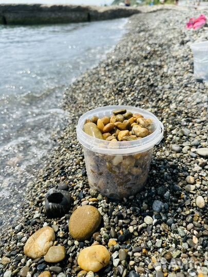 Галька черного моря