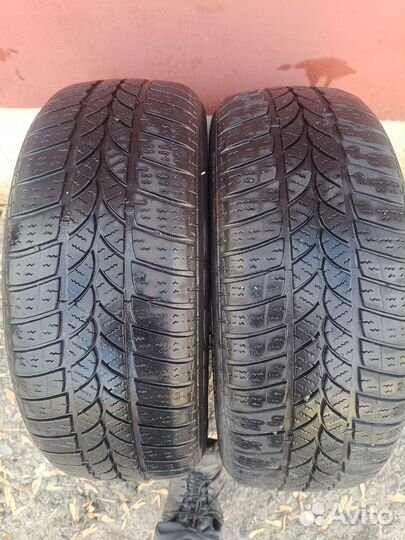 Tigar Winter 1 205/55 R16