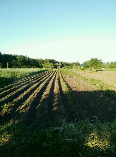 Участок 11 сот. (ИЖС)