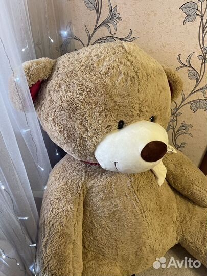 Плюшевый медведь больше 2 метров