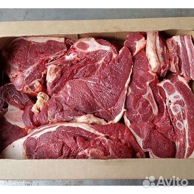 Продам мясо конина халяль