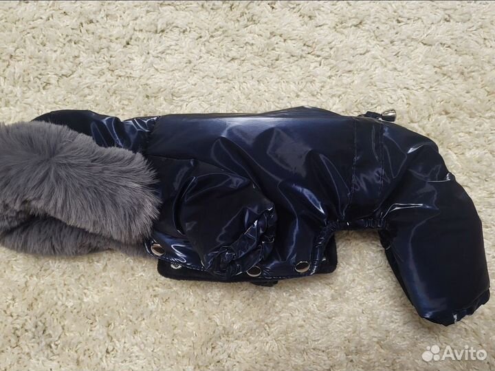 Зимний комбинезон для маленькой собачки