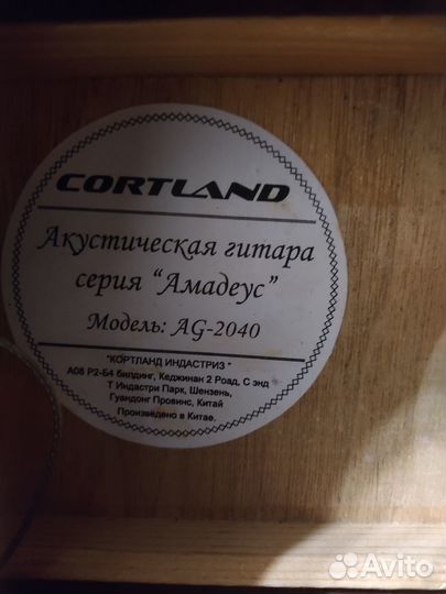 Электро-акустическая гитара