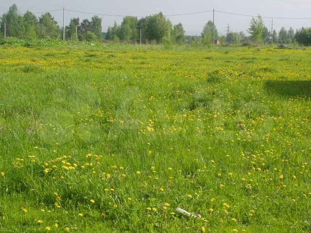 Участок 20 сот. (ИЖС)