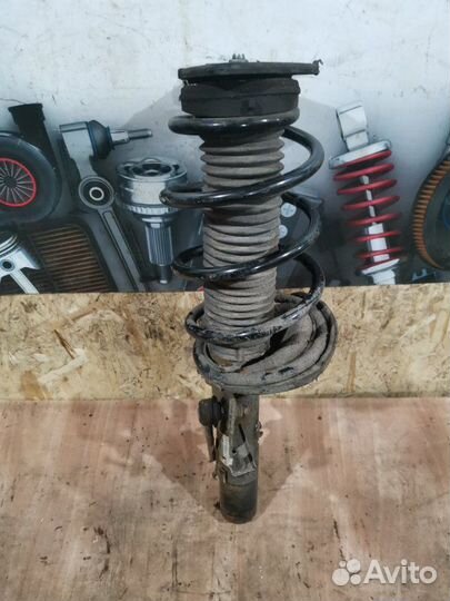 Амортизатор подвески передний правый Ford Focus 3