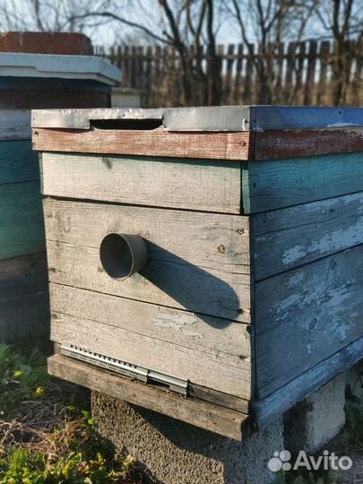 Ульи дадан 12 рамочные