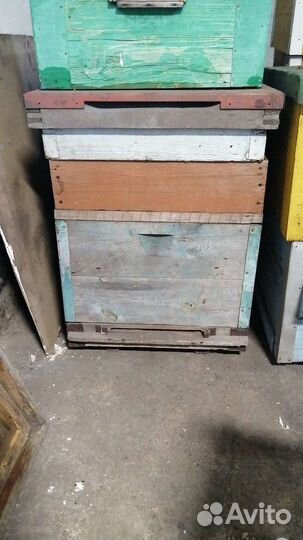 2 семьи улья с рамками