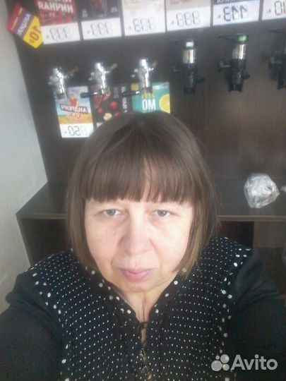 Счетчик ревизор
