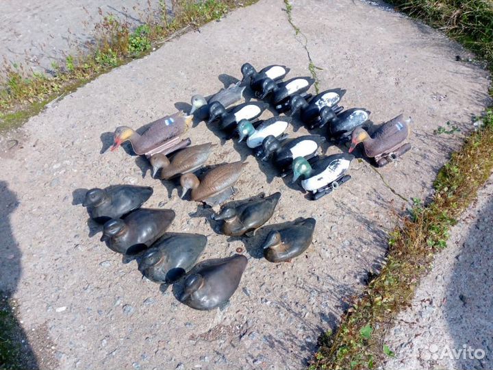 Утиные чучела