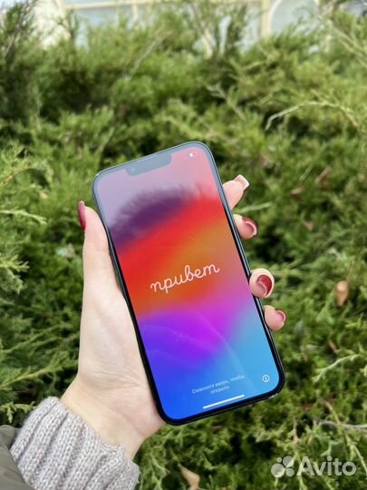 iPhone 13, 256 ГБ