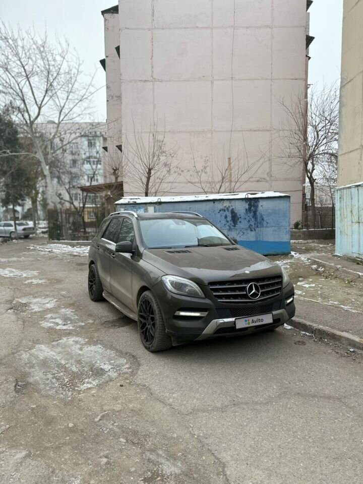 Mercedes-Benz M-класс: фото владельца