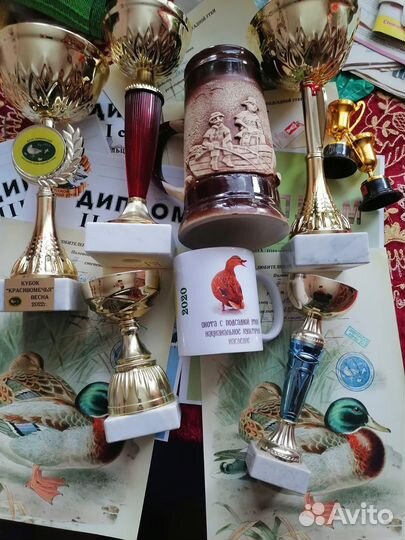 Подсадные утки