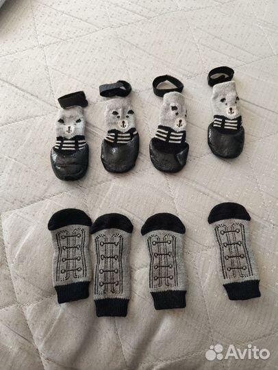 Обувь для маленькой собачки