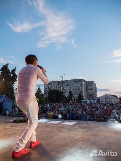 Ведущий и диджей