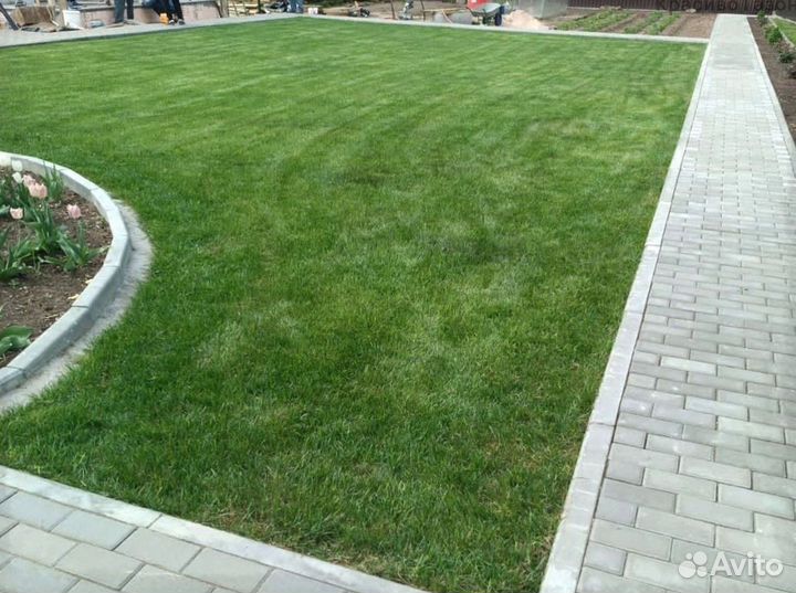 Газон с быстрой доставкой