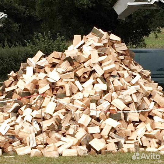 Дрова образцовые