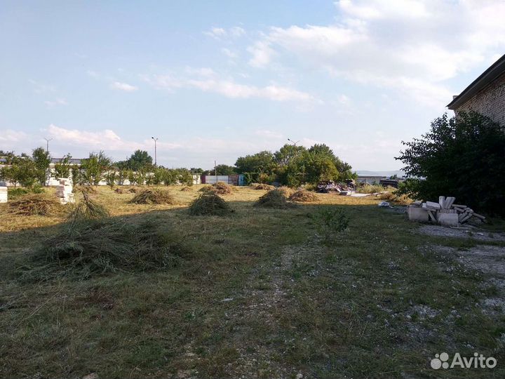 Спил деревьев и покос травы