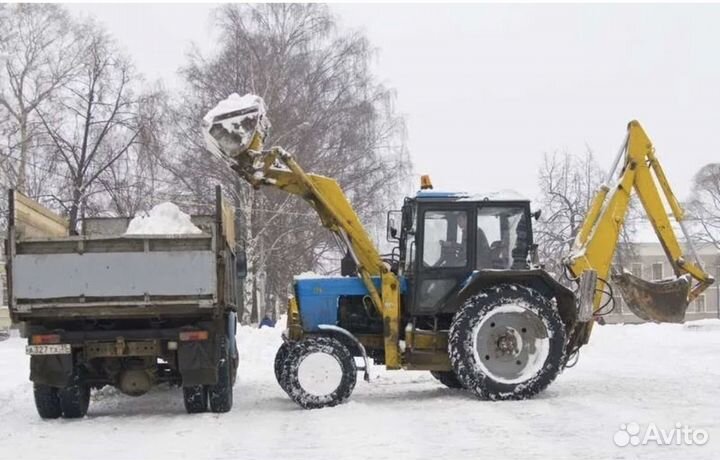 Уборка и вывоз снега трактором мтз-82
