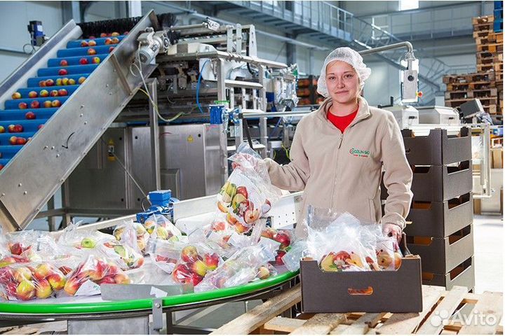 Упаковщики косметики. Работа сидя Вахта в Москве