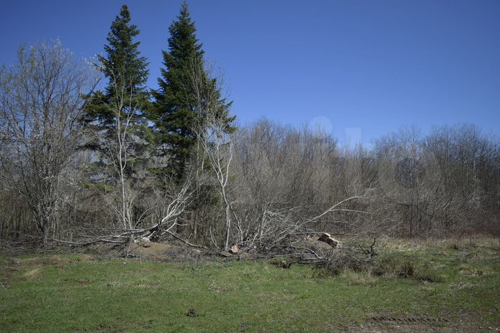 Участок 41 га (СНТ, ДНП)