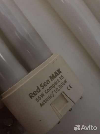 Скиммер, кораллы, хета, морской свет, живые камни