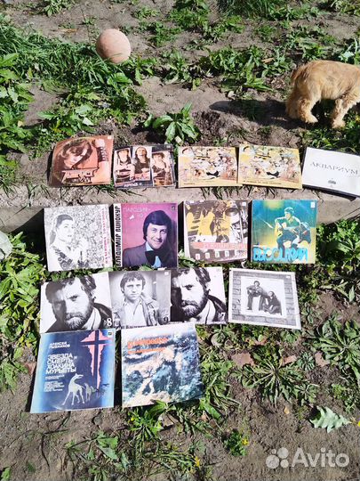 Виниловые пластинки