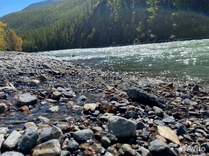 Трансфер межгород