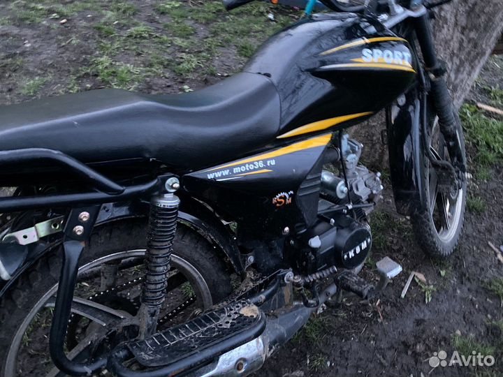 Альфа спорт