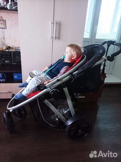 Коляска phil and teds для погодок или для двойни