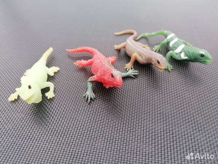 Ящерицы Дегостини