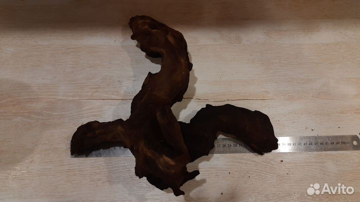 Коряга мангровая