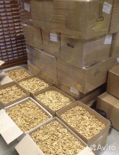 Грецкий орех очищенный (опт, от 100 кг)